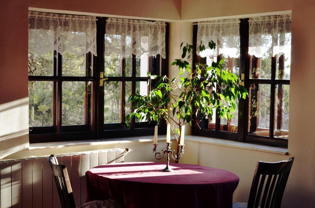 Villa Castelul Maria Banpotoc Pokoj fotografie