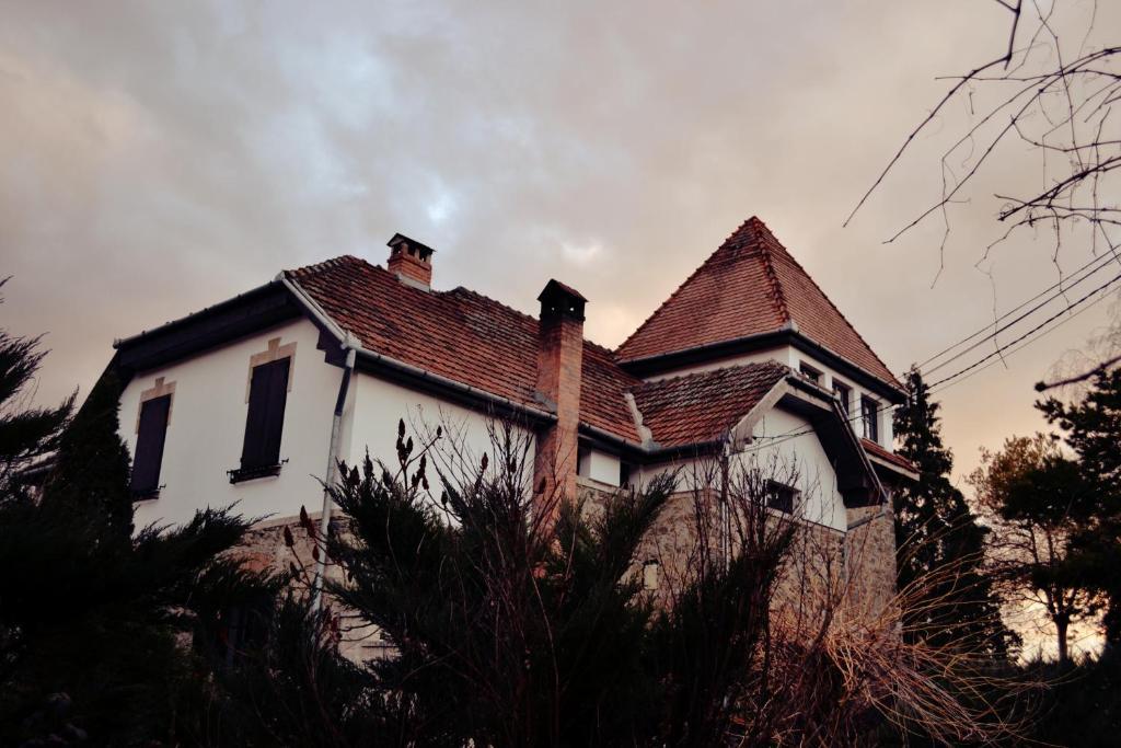 Villa Castelul Maria Banpotoc Exteriér fotografie