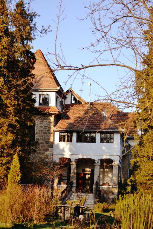 Villa Castelul Maria Banpotoc Exteriér fotografie