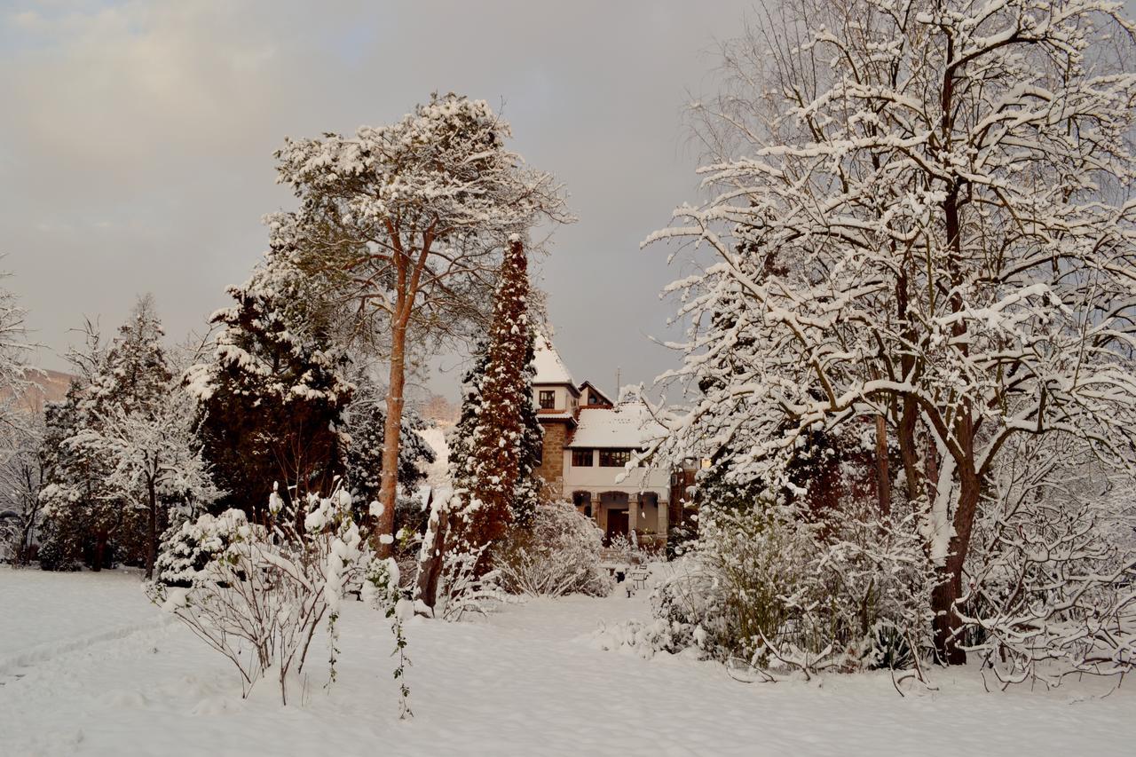 Villa Castelul Maria Banpotoc Exteriér fotografie